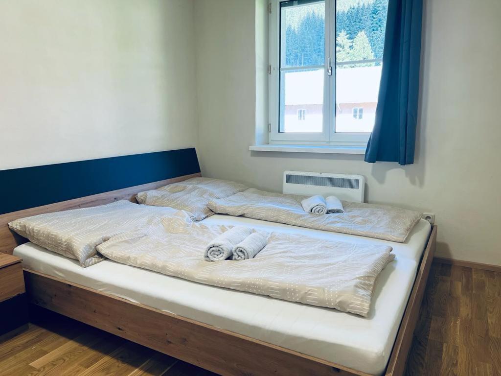 La Casa Apartment バードガシュタイン エクステリア 写真